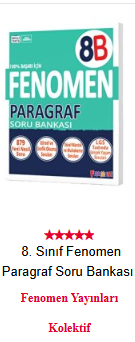 FENOMEN YAYINLARI